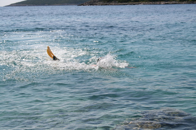 gal/cro 08/small-IMG_4949.JPG